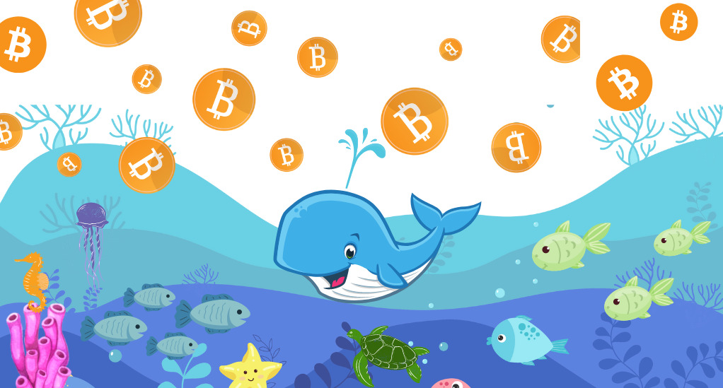 Was sind Bitcoin Whales?
