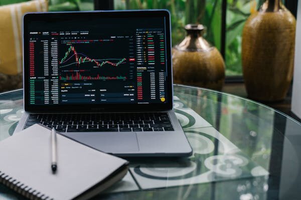 YaMizdayenTrader Review