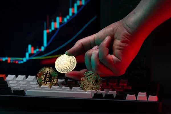 Salik Review