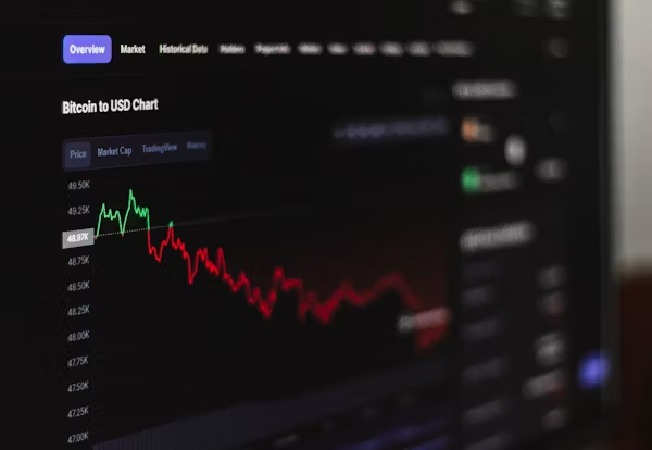 BCBIT Review
