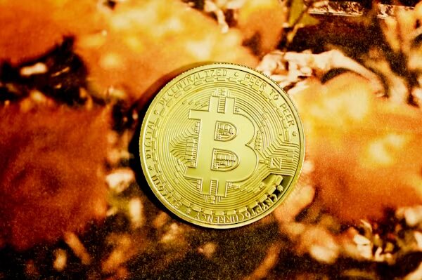Argonaut Investor Review
